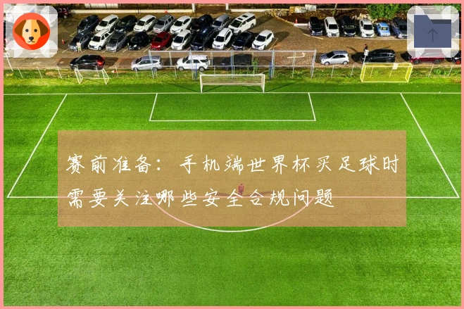 赛前准备：手机端世界杯买足球时需要关注哪些安全合规问题