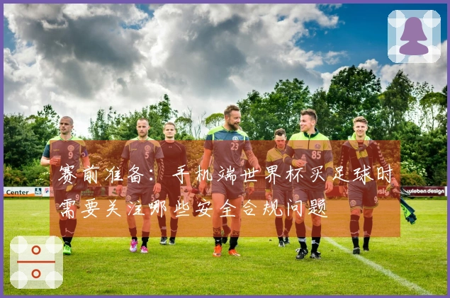 赛前准备：手机端世界杯买足球时需要关注哪些安全合规问题