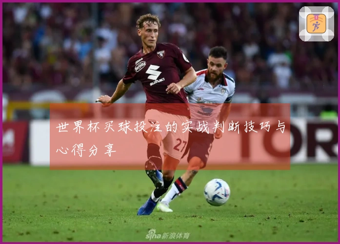 世界杯买球投注的实战判断技巧与心得分享