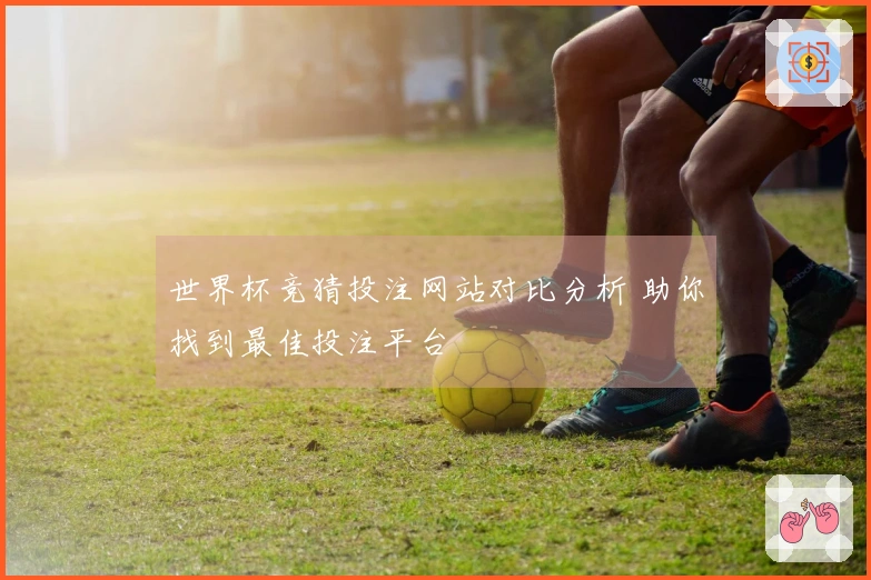 世界杯竞猜投注网站对比分析 助你找到最佳投注平台