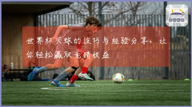 世界杯买球的技巧与经验分享，让你轻松赢取竞猜收益