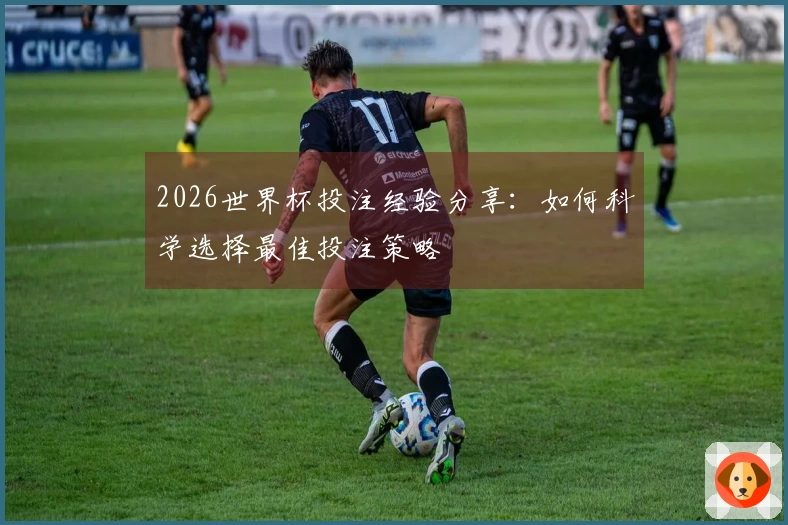 2026世界杯投注经验分享：如何科学选择最佳投注策略