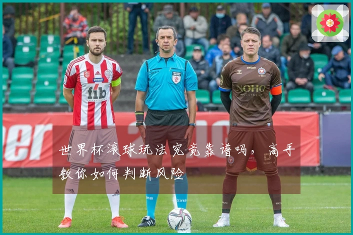 世界杯滚球玩法究竟靠谱吗，高手教你如何判断风险