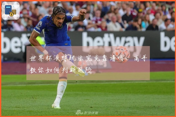 世界杯滚球玩法究竟靠谱吗，高手教你如何判断风险