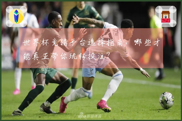 世界杯竞猜平台选择指南，哪些才能真正带你玩转投注？