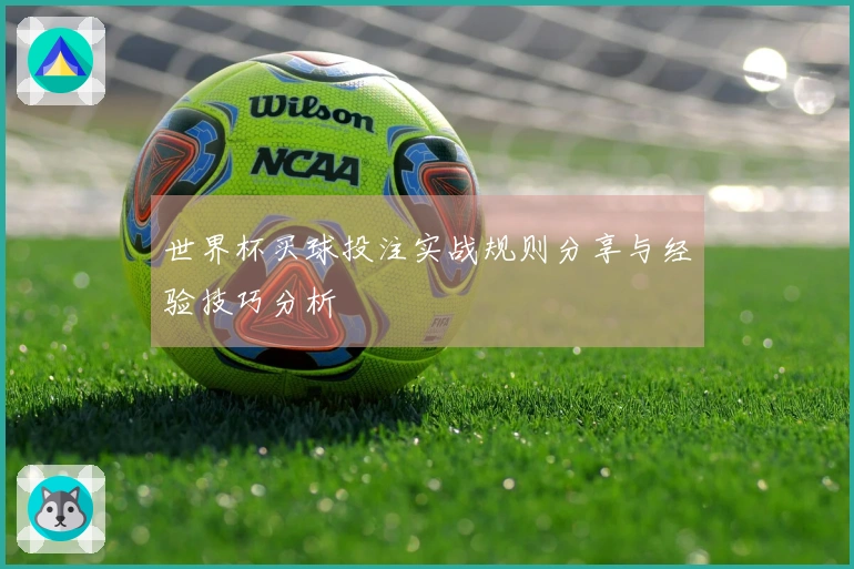 世界杯买球投注实战规则分享与经验技巧分析