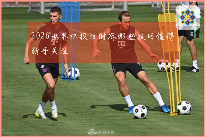 2026世界杯投注时有哪些技巧值得新手关注