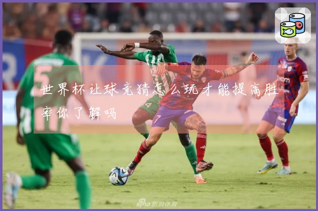 世界杯让球竞猜怎么玩才能提高胜率你了解吗