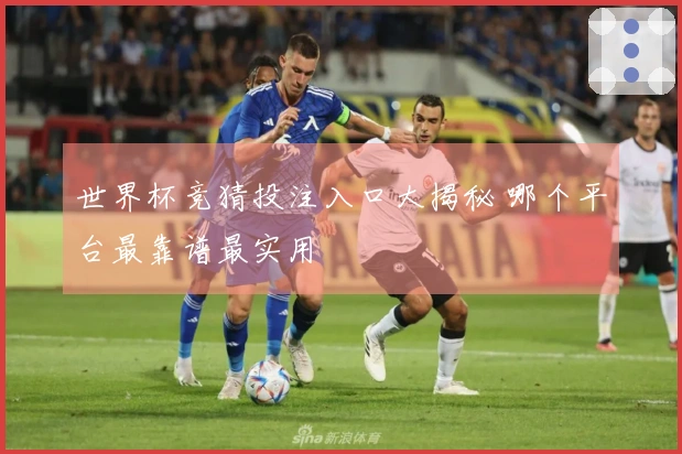 世界杯竞猜投注入口大揭秘 哪个平台最靠谱最实用