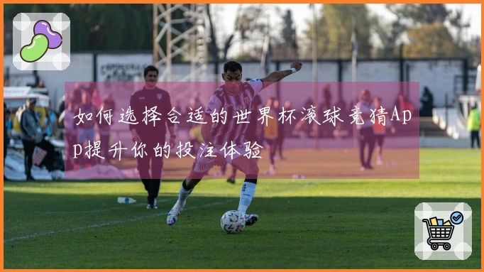 如何选择合适的世界杯滚球竞猜App提升你的投注体验