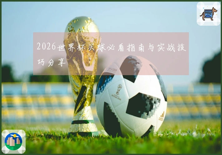 2026世界杯买球必看指南与实战技巧分享