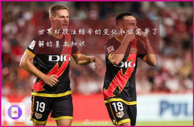 世界杯投注赔率的变化和你需要了解的基本知识