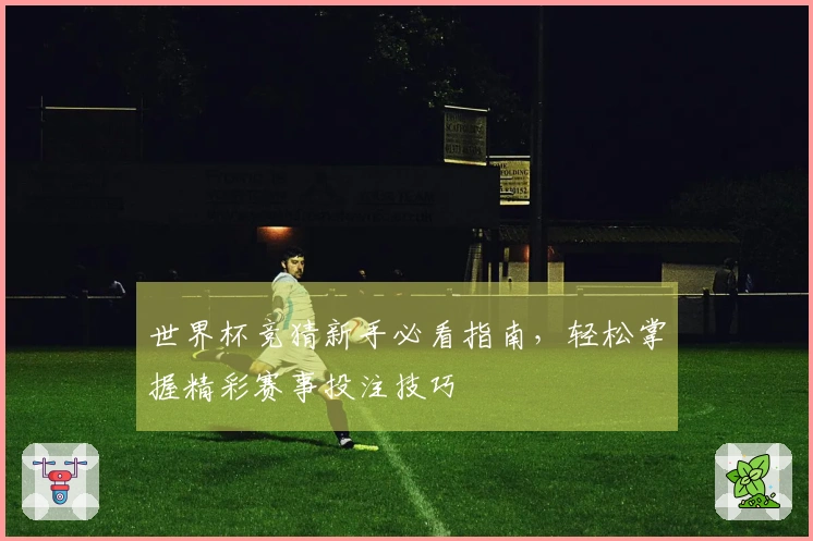 世界杯竞猜新手必看指南，轻松掌握精彩赛事投注技巧