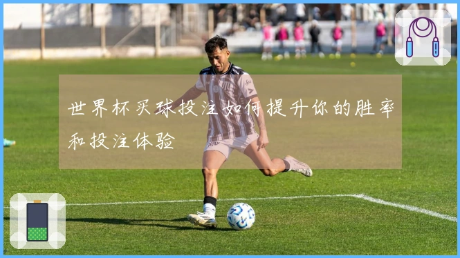 世界杯买球投注如何提升你的胜率和投注体验
